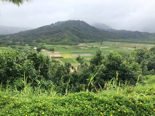Hanalei Valley lookout in Kauai